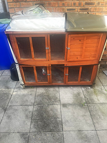 Wooden tier rabbit - rabbit, hutch