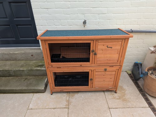 Two tier wooden guinea pig - tier,