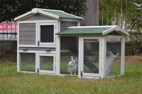 Rabbit hutch hutches run runs - hutch,